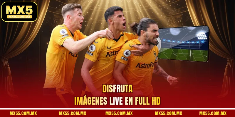 Disfruta imágenes live en Full HD